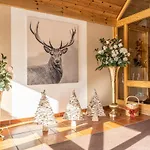 Gastein - Ganzjaehrig Inklusive Alpentherme Gastein & Sommersaison Inklusive Gasteiner Bergbahnen 3* Bad Hofgastein