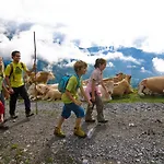 Szálloda Gastein - Ganzjaehrig Inklusive Alpentherme Gastein & Sommersaison Inklusive Gasteiner Bergbahnen