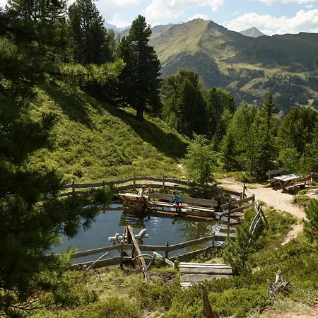 Gastein - Ganzjaehrig Inklusive Alpentherme Gastein & Sommersaison Inklusive Gasteiner Bergbahnen Otel Bad Hofgastein