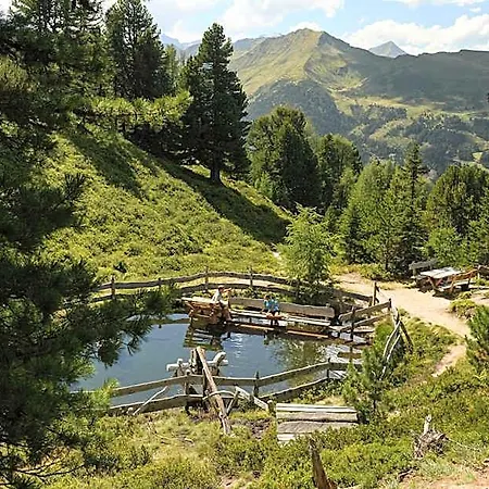Gastein - Ganzjaehrig Inklusive Alpentherme Gastein & Sommersaison Inklusive Gasteiner Bergbahnen