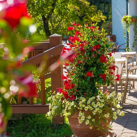 Ξενοδοχείο Gastein - Ganzjaehrig Inklusive Alpentherme Gastein & Sommersaison Inklusive Gasteiner Bergbahnen 3*