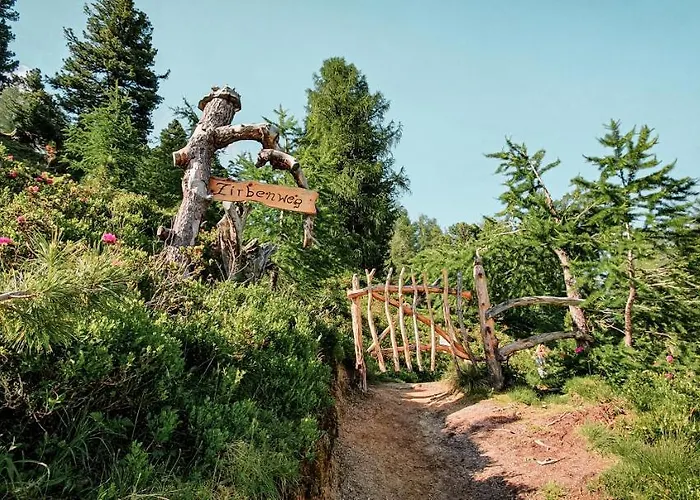 Hotel Gastein - Ganzjaehrig Inklusive Alpentherme Gastein & Sommersaison Inklusive Gasteiner Bergbahnen Bad Hofgastein